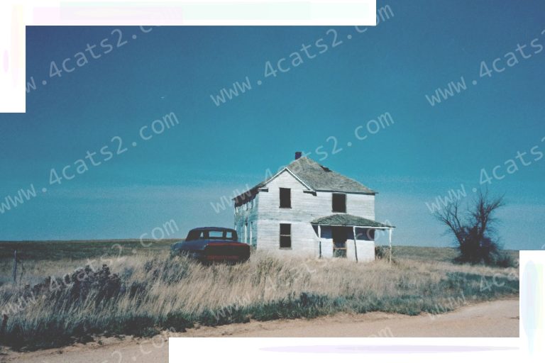 Colorado Abandonment Laws: An Overview and Practical Legal Guidance