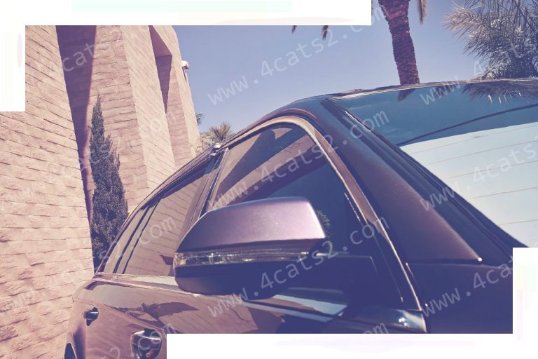 Diving Into Las Vegas Window Tint Laws: Everything to Know