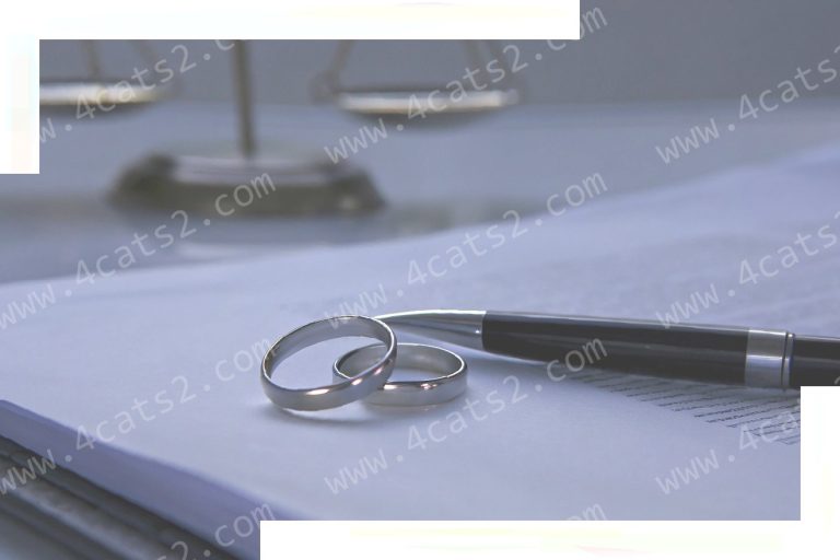 Do You Need to Hire a Lawyer for a Prenup?