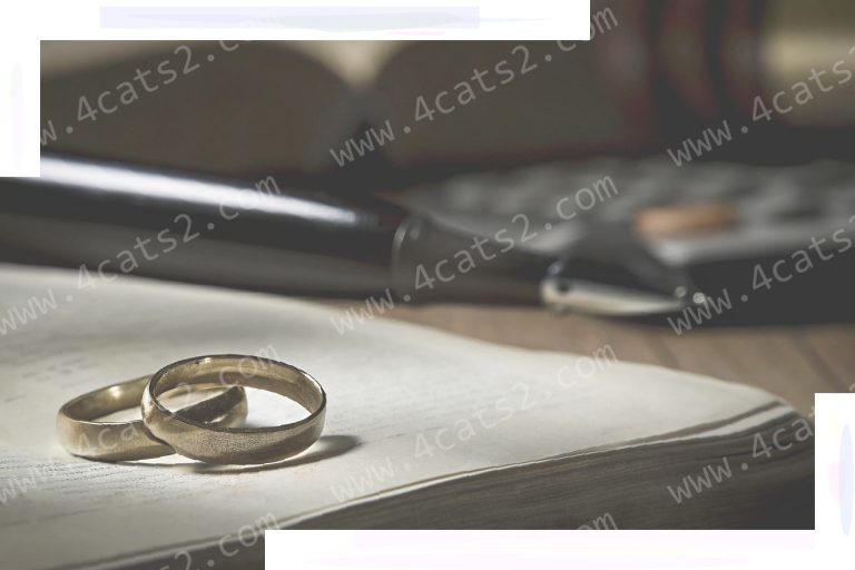 The Average Price for a Prenup: The Definitive Guide