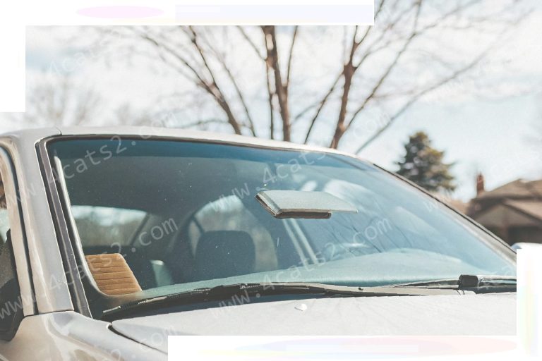 Tinting Windows Legally in North Carolina